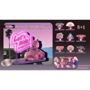 Loopy Collection Neon Highway Suprise Box Figure